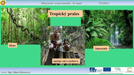 Elektronické učební materiály - II. stupeň Zeměpis Autor: Mgr. Miluše Džuberová liána místní obyvatelstvo Tropický prales Amazonie.
