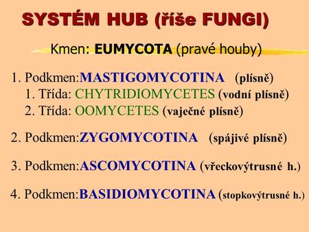 SYSTÉM HUB (říše FUNGI) Kmen: EUMYCOTA (pravé houby) 1. Podkmen:MASTIGOMYCOTINA ( plísně ) 1. Třída: CHYTRIDIOMYCETES ( vodní plísně ) 2. Třída: OOMYCETES.