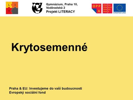 Praha & EU: Investujeme do vaší budoucnosti Evropský sociální fond Gymnázium, Praha 10, Voděradská 2 Projekt LITERACY Krytosemenné.