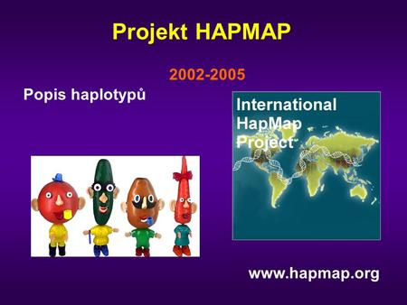 Projekt HAPMAP 2002-2005 Popis haplotypů