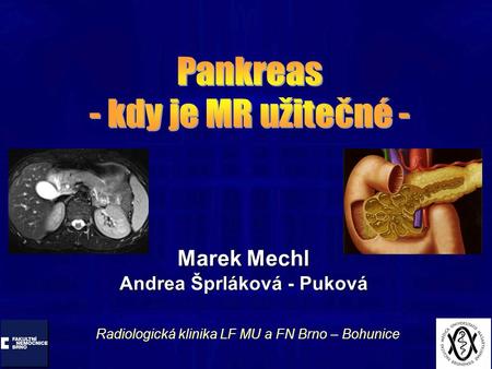 Marek Mechl Andrea Šprláková - Puková Radiologická klinika LF MU a FN Brno – Bohunice.