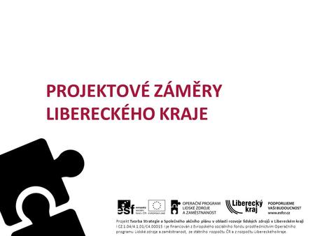 PROJEKTOVÉ ZÁMĚRY LIBERECKÉHO KRAJE Projekt Tvorba Strategie a Společného akčního plánu v oblasti rozvoje lidských zdrojů v Libereckém kraji I CZ.1.04/4.1.01/C4.00015.