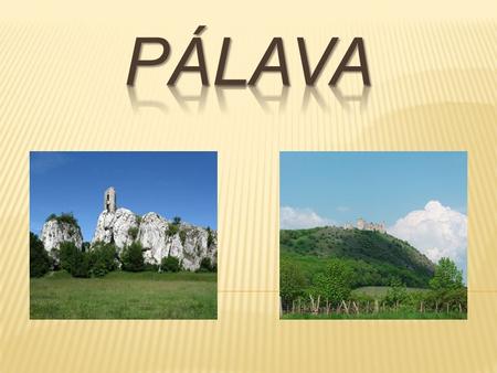  Široké okolí města Mikulov je začleněno do Chráněné krajinné oblasti Pálava. Jedná se o krajinný komplex Pavlovských vrchů a údolní nivy řeky Dyje chráněný.