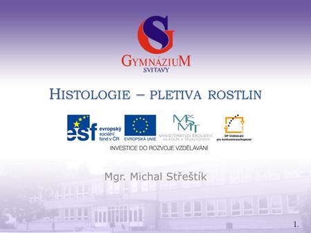 1. H ISTOLOGIE – PLETIVA ROSTLIN Mgr. Michal Střeštík.