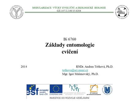 Bi 6760 Základy entomologie cvičení MODULARIZACE VÝUKY EVOLUČNÍ A EKOLOGICKÉ BIOLOGIE CZ.1.07/2.2.00/ RNDr. Andrea Tóthová, Ph.D.