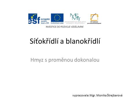 Síťokřídlí a blanokřídlí Hmyz s proměnou dokonalou vypracovala: Mgr. Monika Štrejbarová.