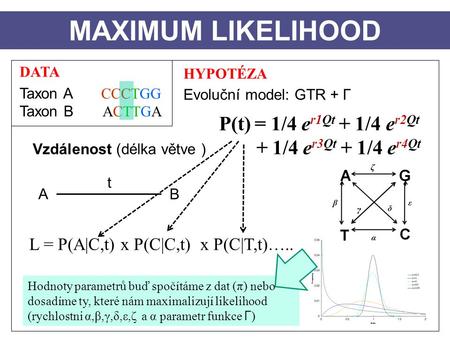 DATA Taxon A CCCTGG Taxon B ACTTGA HYPOTÉZA Evoluční model: GTR + Γ Vzdálenost (délka větve ) A B t MAXIMUM LIKELIHOOD L = P(A|C,t) x P(C|C,t) x P(C|T,t)…..