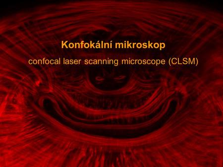 confocal laser scanning microscope (CLSM)