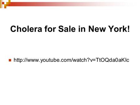 Cholera for Sale in New York!