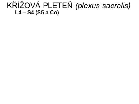 KŘÍŽOVÁ PLETEŇ (plexus sacralis)