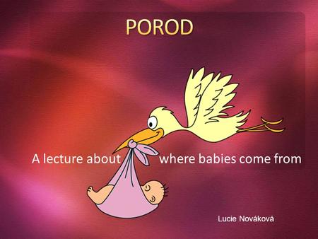 A lecture about where babies come from