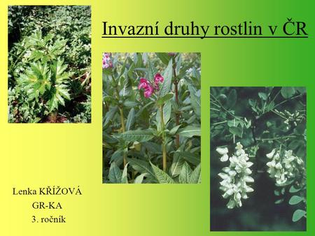 Invazní druhy rostlin v ČR