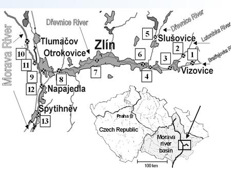 SITUACE – region Zlínsko Určete priority / identifikujte problémy v rámci regionu: kontaminace povrchových vod Jaké hlavní kontaminanty jsou pro vody.