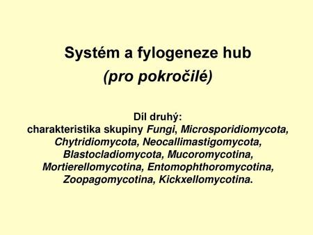 Systém a fylogeneze hub