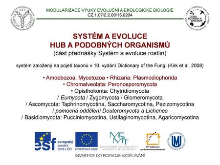 HUB A PODOBNÝCH ORGANISMŮ (část přednášky Systém a evoluce rostlin)