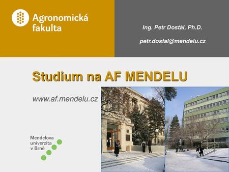 Studium na AF MENDELU  Ing. Petr Dostál, Ph.D.
