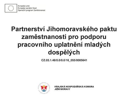 Partnerství Jihomoravského paktu zaměstnanosti pro podporu pracovního uplatnění mladých dospělých CZ.03.1.48/0.0/0.0/16_055/0005641.