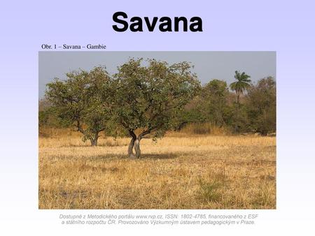 Savana Obr. 1 – Savana – Gambie