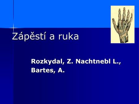 Zápěstí a ruka Rozkydal, Z. Nachtnebl L., Bartes, A.