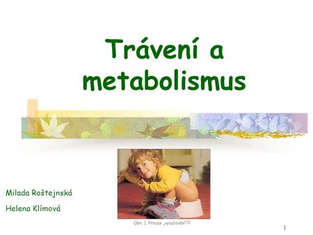 Trávení a metabolismus