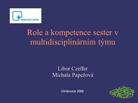 Role a kompetence sester v multidisciplinárním týmu