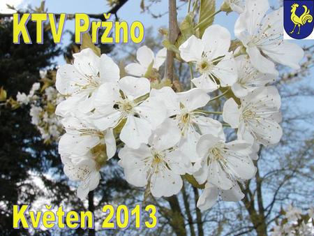 KTV Pržno Květen 2013.