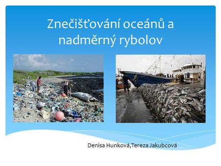Znečišťování oceánů a nadměrný rybolov