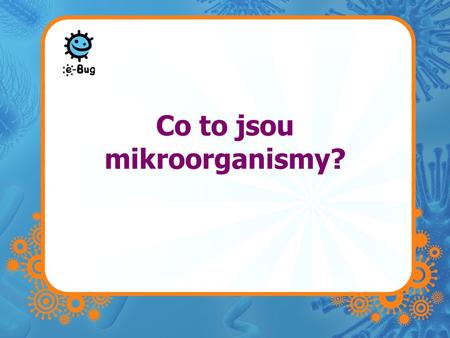 Co to jsou mikroorganismy?