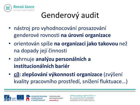 Genderový audit nástroj pro vyhodnocování prosazování genderové rovnosti na úrovni organizace orientován spíše na organizaci jako takovou než na dopady.