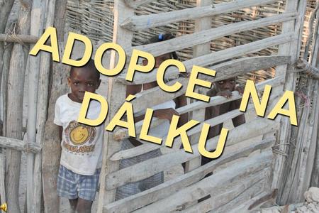 A D O P C E N A D Á L K U. Projekt Adopce na dálku má v České republice tradici od roku 1993.