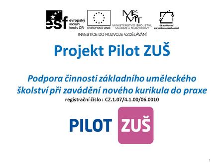 Projekt Pilot ZUŠ Podpora činnosti základního uměleckého školství při zavádění nového kurikula do praxe registrační číslo : CZ.1.07/4.1.00/06.0010.