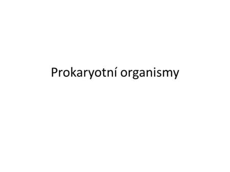 Prokaryotní organismy