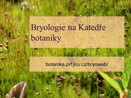 Bryologie na Katedře botaniky
