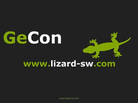 Www.lizard-sw.com. GeCon – bezpečnostní řešení • Filtrování www stránek jednotlivým PC • Řízení přístupu k internetu pro jednotlivá PC • Jednoduché statistiky.