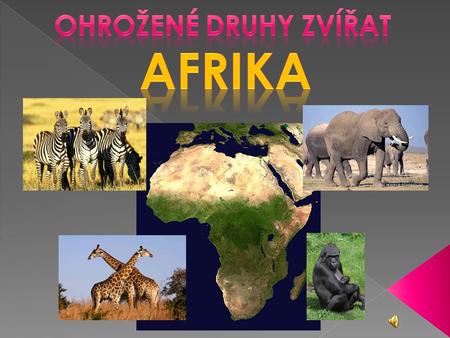 Ohrožené druhy zvířat AfrikA.