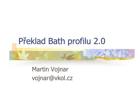 Překlad Bath profilu 2.0 Martin Vojnar