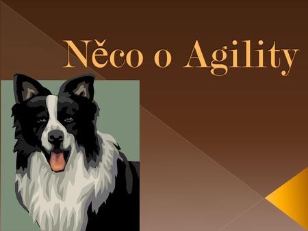 Něco o Agility.