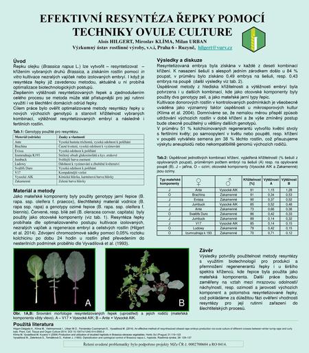 EFEKTIVNÍ RESYNTÉZA ŘEPKY POMOCÍ TECHNIKY OVULE CULTURE