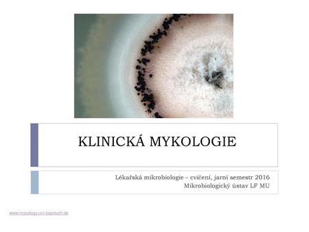 KLINICKÁ MYKOLOGIE Lékařská mikrobiologie – cvičení, jarní semestr 2016 Mikrobiologický ústav LF MU www.mycology.uni-bayreuth.de.
