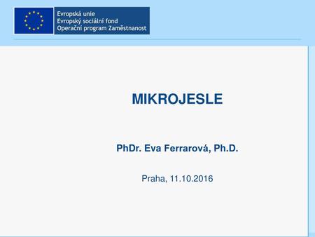 Mikrojesle PhDr. Eva Ferrarová, Ph.D. Praha, 11.10.2016.