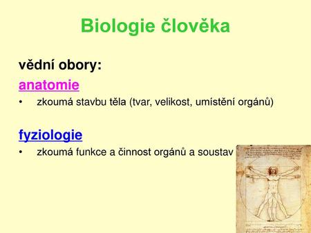 Biologie člověka vědní obory: anatomie fyziologie