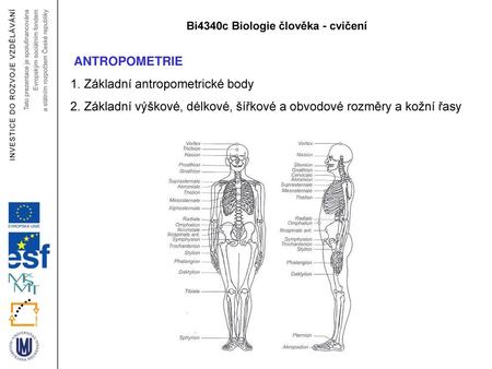 Bi4340c Biologie člověka - cvičení