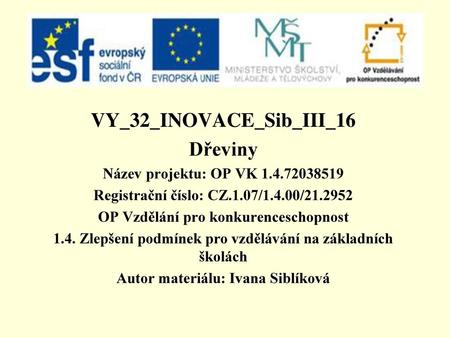 VY_32_INOVACE_Sib_III_16 Dřeviny