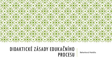 Didaktické zásady edukačního procesu