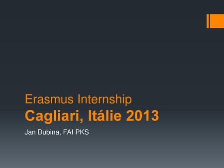 Erasmus Internship Cagliari, Itálie 2013