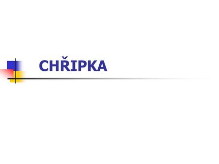 CHŘIPKA.