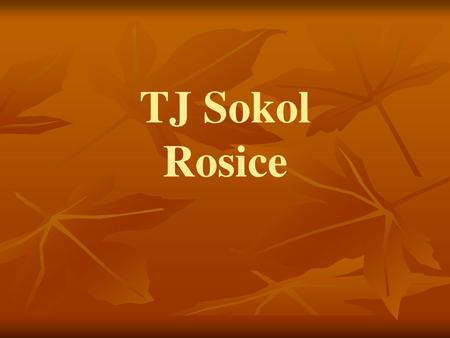 TJ Sokol Rosice.
