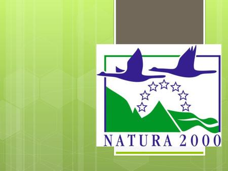 Co je to NATURA 2000? NATURA 2000 je soustavou chráněných území evropského významu. Jejím prostřednictvím se chrání nejvzácnější a nejvíce ohrožené druhy.
