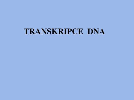 TRANSKRIPCE DNA.