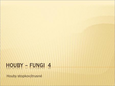 Houby – Fungi 4 Houby stopkovýtrusné.